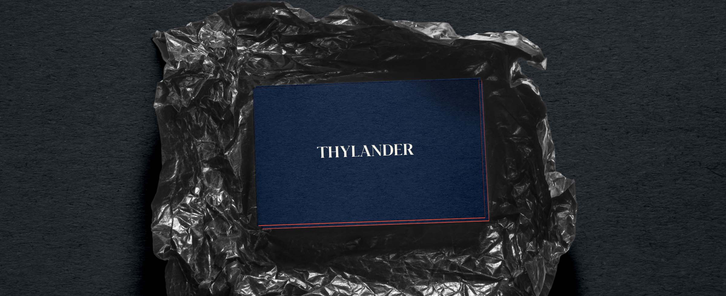Case_Thylander_Rebrand_Sunrise_Business_Card Case_Thylander_Rebrand_Sunrise_Business_Card