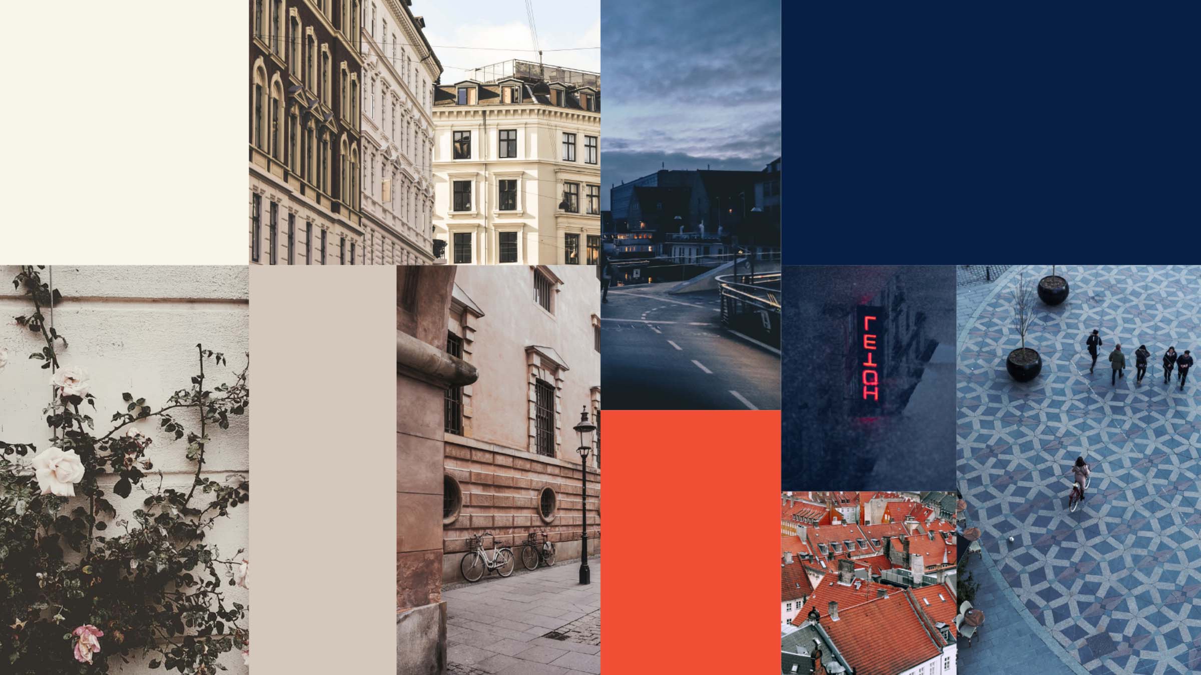 Case_Thylander_Rebrand_Sunrise_Colours Case_Thylander_Rebrand_Sunrise_Colours