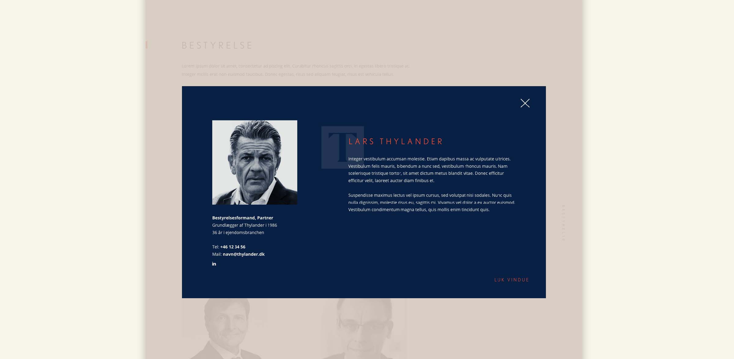 Case_Thylander_Rebrand_Sunrise_Web_Design_Pop_Up Case_Thylander_Rebrand_Sunrise_Web_Design_Pop_Up